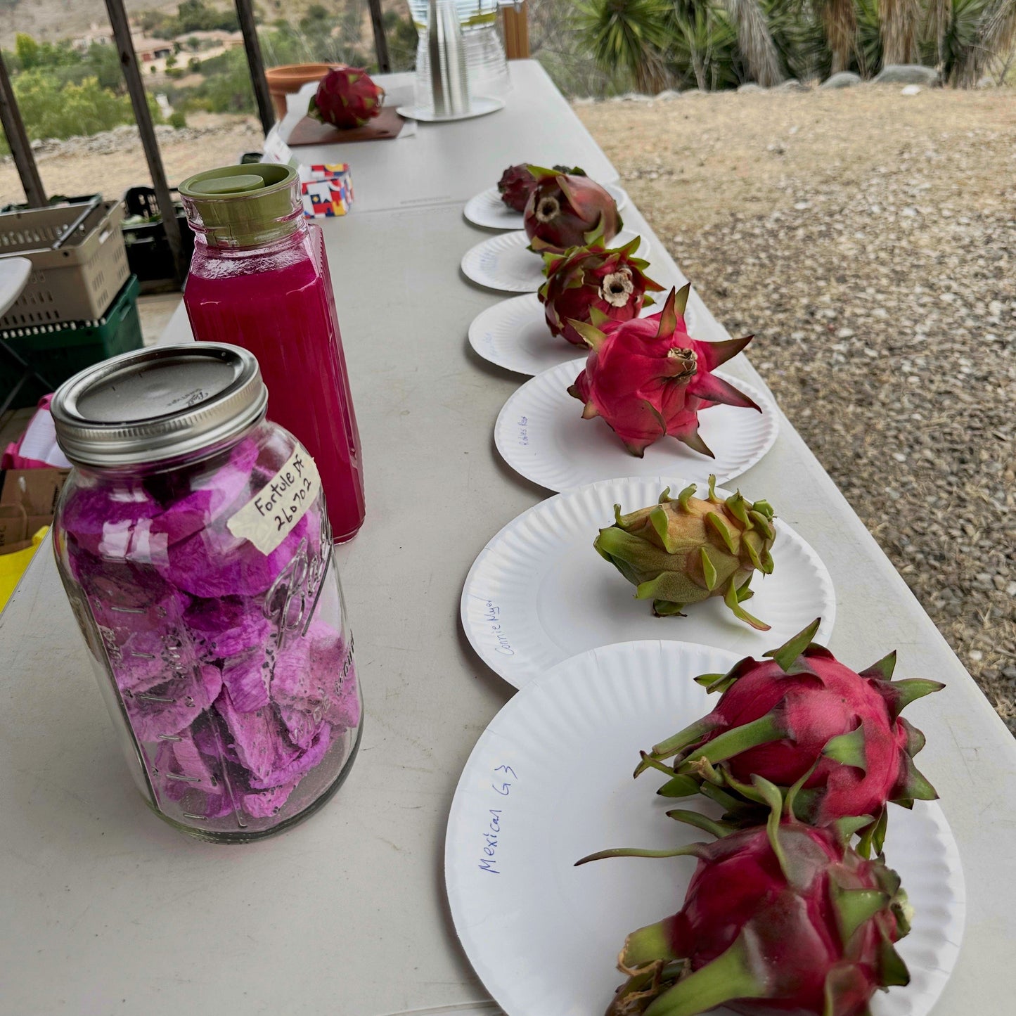 Farm Tour Admission