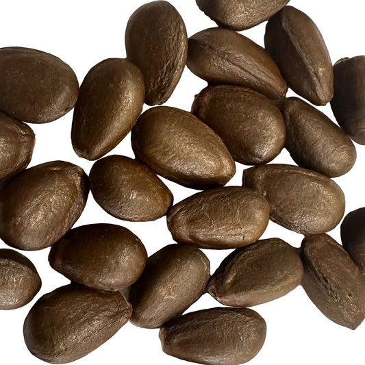 Cherimoya Seeds