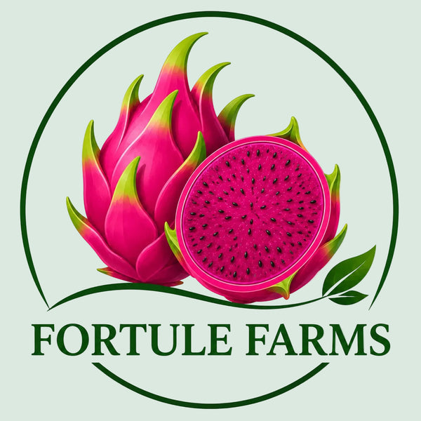 Fortule
