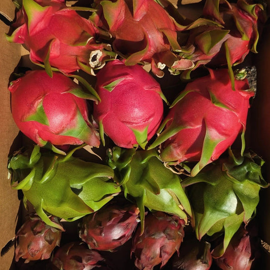 Organic Dragon Fruit Box - Mixed