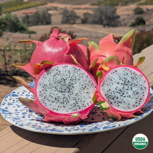 Two halves of a fresh dragon fruit, showing bright pink skin and white flesh with black seeds